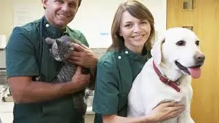 More pet dogs and cats entering Singapore can now serve quarantine at home