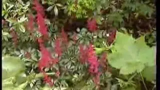 Arduaine Garden