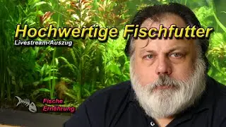 ERN&Auml;HRUNG - HOCHWERTIGE FISCHFUTTER und was sind keine hochwertigen Futtermittel
