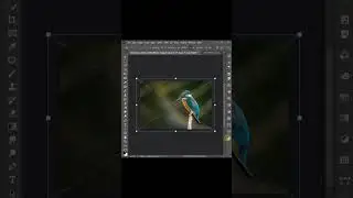 Create A Magnifying Glass Effect In Photoshop Tutorial #shorts #photoshop #trending #illustrator