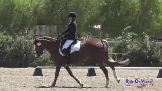 109D Alex Hawkinson on Snow Angel SR Novice Dressage Copper Meadows Sept. 2016
