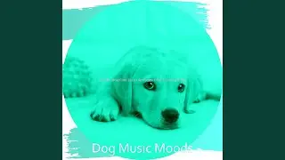 Background for Training Dogs