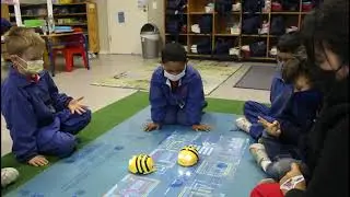 Cannons Pregrade Beebots