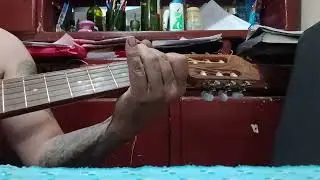 La ñaupa ñaupa chacarera cover D.D 👍