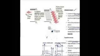 Laser-Light Amplification by Stimulated Emission of Radiation