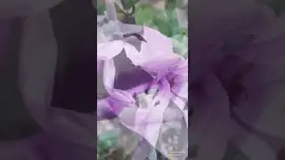 جمال ورود البوسنة و الهرسك. 😁🇧🇦💞🌸