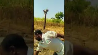SULAIMAN NIMA NAZO #arewa #arewabusiness #ambato #duet #szariahausa #voiceeffects #kannywood #makem