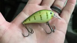 Top 5 Tiny Baits that Catch Giant Bass RIGHT NOW! (Ep. 100)