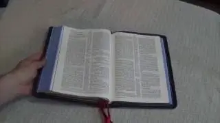 RL Allan ESV New Classic Readers Blue - Review & Ranking (28.5)