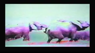 jamuary-03