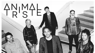 Animal Triste Immersion au concert Sur la sc&egrave;ne - Du Sismographe 