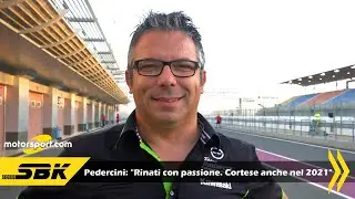 Pedercini: 