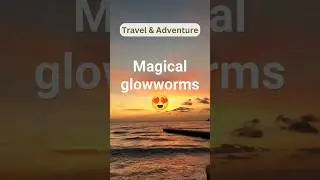 Magical glowworms 😍#glowworms #amazingfacts #shorts