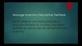 Manage Inventory Descriptive Flexfields
