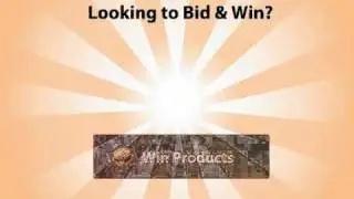 Online Auction & Shopping