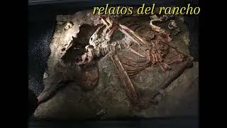 OCOTAL GRANDE:EL SECRETO SELLADO #viralshort  #alienigenas 