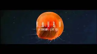 Khubu - Intervisions (Live Mix) Unreleased