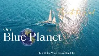 Our Blue Planet | Underwater World Relaxation | Deep Meditative Music for Harmony and Peace