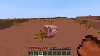 testing achievement