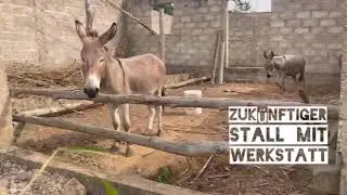 Permatogo Alltag im Dschungel, Bambus Esel Lehm und B&auml;ume, tropische permakultur