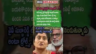 AP Politics, S Savitha Demands Increased Security For YV Subba Reddy Over Claims 🚨