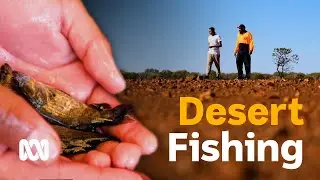 How to grow fish in the outback 🙌🐟 | TRAILBLAZERS