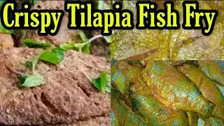 TILAPIA FISH FRY RECIPE | FISH FRY | TILAPIA FISH FRY IN HINDI | FISH FRY RECIPE | HOW TO FRY FISH