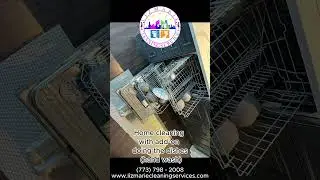 LizMarie Cleaning Services Chicago - Home Cleaning with doing the dishes