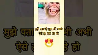 Monkey Funny Video 🙈 laughing monkey 😅 हंसता हुआ बंदर 🙈 Comedy Video #chutkule #funnyjoks