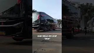 AGAM TUNGGA JAYA SHOJA PINKY #busmania #busmaniacomunity #atj #stj #tmt #shorts #short