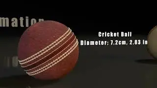 Sports balls size Comparison | 3D comparison | base ball | shorts | soccer | sports ball |