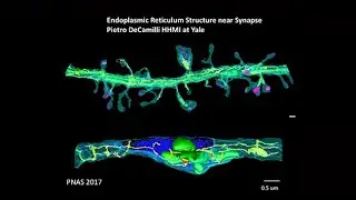 Kavli Institute for Brain and Mind: Imaging the Brain -Harald Hess, Erik Jorgensen, Philipp Keller