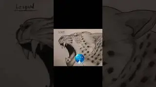 how to draw leopard 🐆