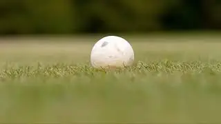 Rock and Polo!