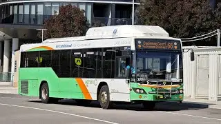 Transport Canberra BUS 377 - MAN A69 18.310 CNG Custom Coaches CB60 Evo II 