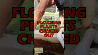Floating Plants CHOKE OUT WATER WAYS!!!!