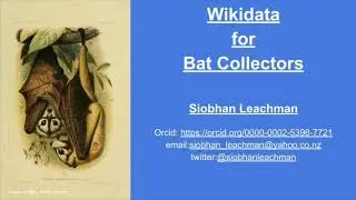 Wikidata for Bat Collectors