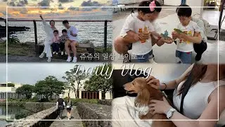 [Eng Sub] 제주 가면 꼭 가야 할 곳들, 나인브릿지 회원제 골프장 | 강아지 구조, 애니멀 119 | 화조원, 이끼숲소길, 그럼외도 | 대한항공 프레스티지, 노라바 해물라면