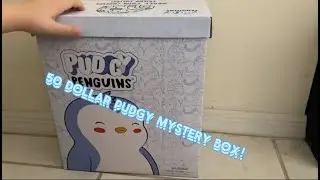Opening 50$ Pudgy penguins MYSTERY BOX!