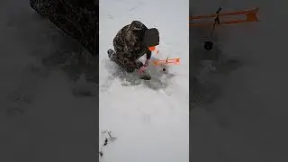 Tip up northern pike