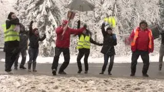 TESS RALLY 2013  HARLEM SHAKE @ iasirally.ro