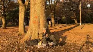 【VLOG】最近の出来事を話しながら秋の代々木公園でゆっくりする｜早起き習慣｜朝食ブルーベリー｜フリマについて｜#podcast  #11