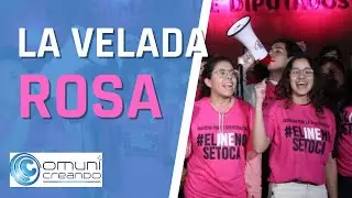 VELADA ROSA: J&Oacute;VENES EN DEFENSA DEL INE