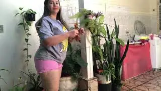 ROTINA DE DONA DE CASA: ROUPAS DO VARAL E REGANDO AS PLANTAS!