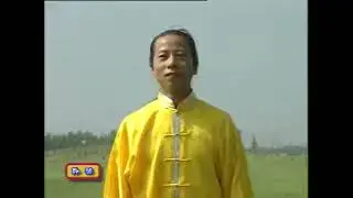 Shaolin Monkey Kung Fu