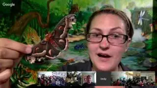 Virtual Field Trip to the Victoria Bug Zoo