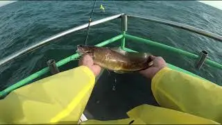 Fishing for ling fish on Captain Al party boat Long island NY