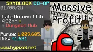 How to Make the MOST Money From BITS in Hypixel Skyblock!