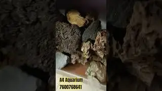 All Types of Aquarium rocks and Wood 🪵 Collection in ahmedabad| A4 aquarium| #aquariumlovers #sorts
