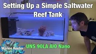 How to Set up a Simple Saltwater Reef Tank for Beginners and Experienced Reefers UNS 90LA AIO Nano